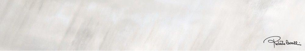 Tanduk Roberto Cavalli Grigio Lapp Rett Firma 556741