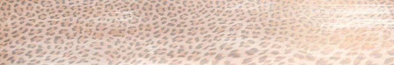 Giaguaromask Roberto Cavalli Conchiglia Lapp Rett 530322