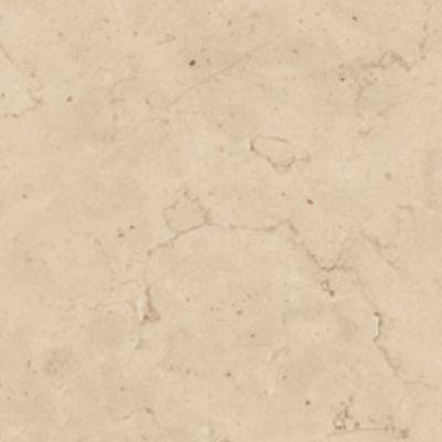 Bon Ton Gardenia Orchidea Bon Ton Perlino An3 R  PF60020777